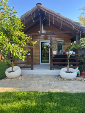 Cabana Sorina